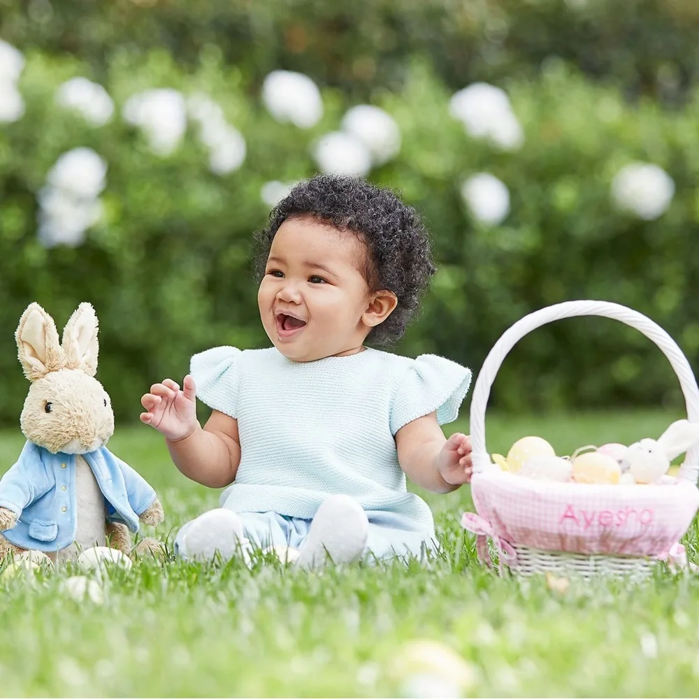 Pottery Barn Kids The World of Beatrix Potter Peter Rabbit Super Soft Plushie 🐰 - Picture 3 of 16